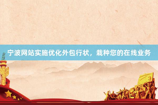 宁波网站实施优化外包行状，栽种您的在线业务